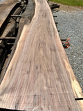 Walnut KD