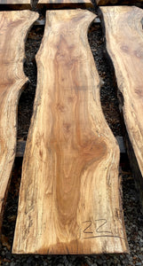 Sycamore KD