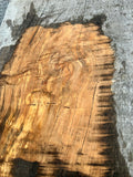 Whole log of Hard Maple KD