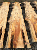 Pine KD