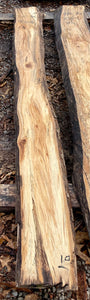 Sycamore KD