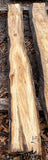 Sycamore KD