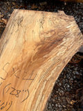 Sycamore KD