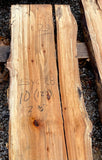 Sycamore KD