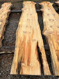 Pine KD