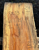 Sycamore KD
