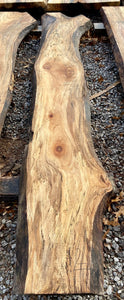 Sycamore KD