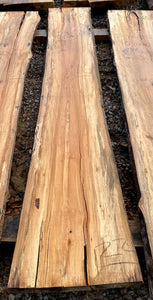 Sycamore KD