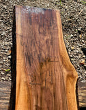 Walnut KD