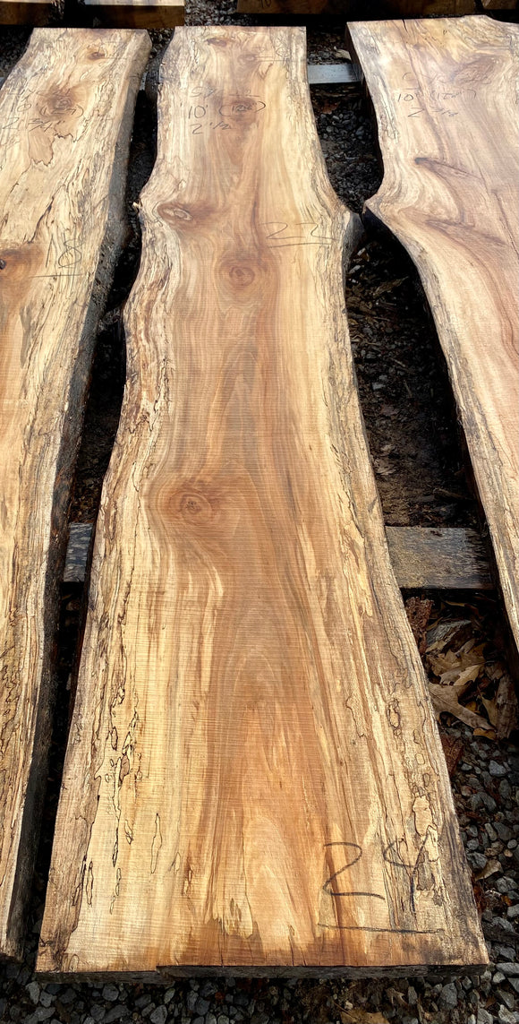 Sycamore KD