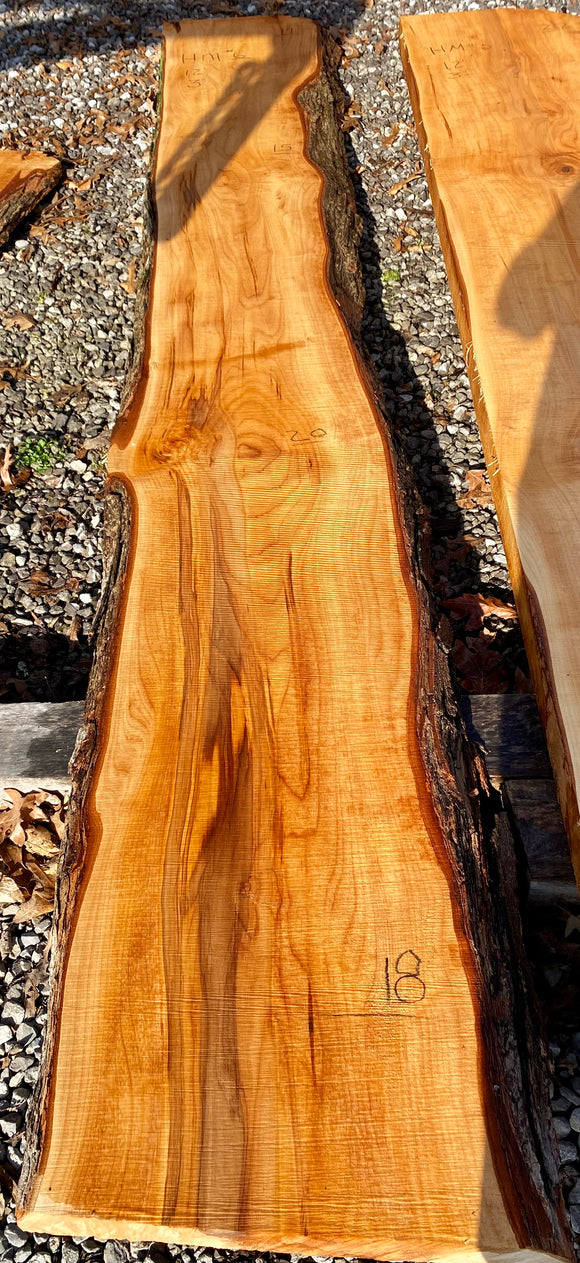 Hard Maple KD