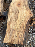 Sycamore KD