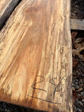 Sycamore KD