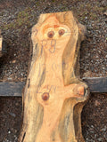 Pine KD