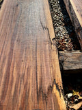 Walnut KD