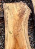 Sycamore KD